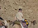 Camel Safari